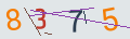 verifycode